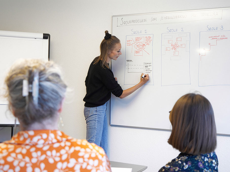 Kollegial supervision