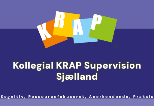 Kollegial supervision sjælland