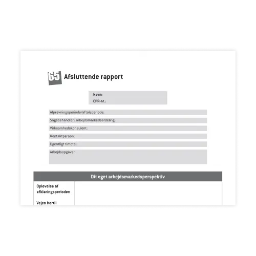 65_Afsluttende_rapport - KRAP i job